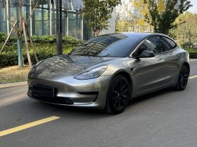 特斯拉 Model 3 2022款 后轮驱动版