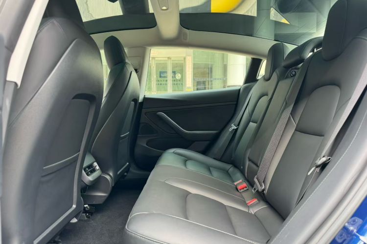 特斯拉 Model 3 2020款 改款 长续航后轮驱动版中控内饰7004