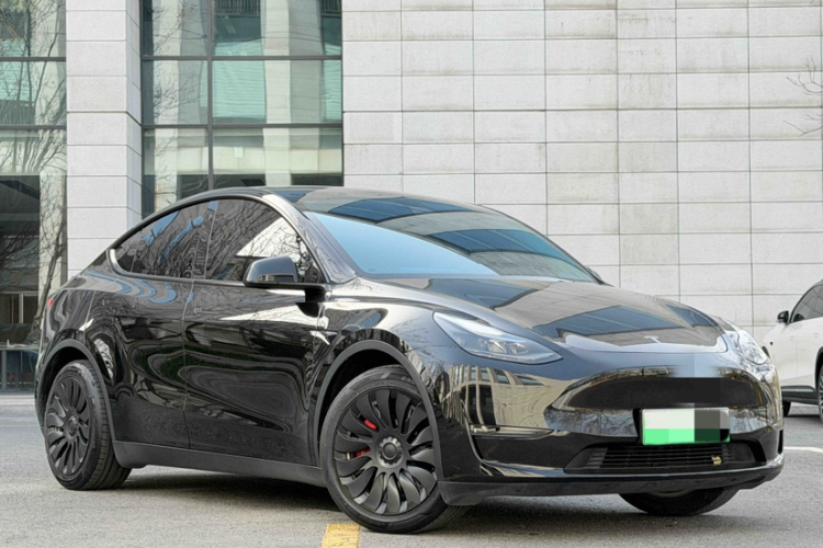 特斯拉 Model Y 2021款 标准续航后驱版车身外观6005