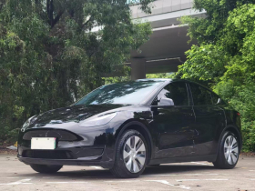 特斯拉 Model Y 2022款 后轮驱动版