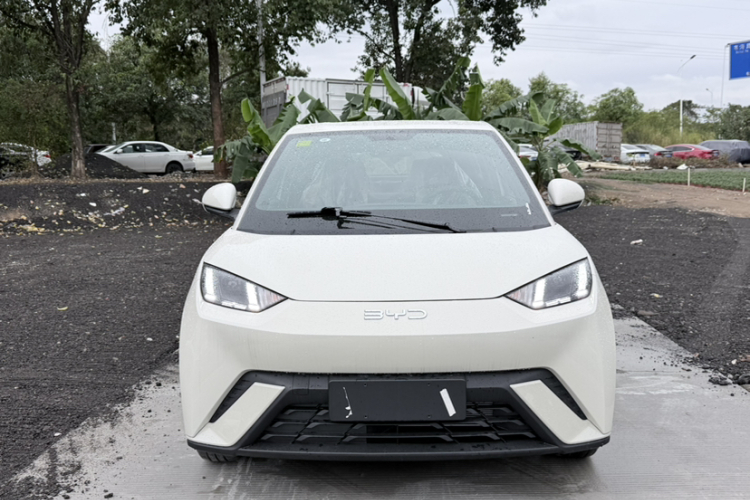 比亚迪 海鸥 2025款 305km 自由版车身外观6004