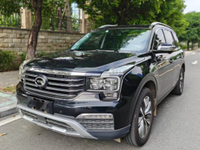 广汽传祺 传祺GS8 2017款 320T 两驱豪华智联版（七座）