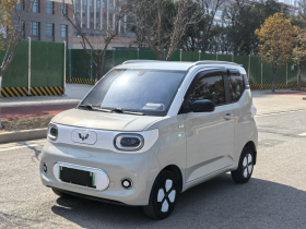 五菱汽车 宏光MINIEV 2024款 第三代 215km 进阶版