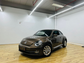 大众 甲壳虫 2014款 1.2TSI 时尚型