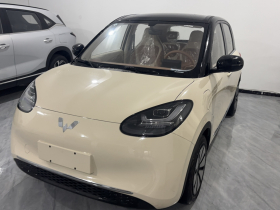 五菱汽车 五菱缤果 2025款 333km 悦享款