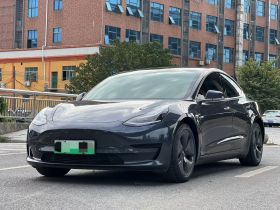 特斯拉 Model 3 2020款 标准续航后驱升级版