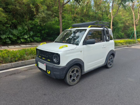 吉利银河 2024款 200km 熊猫骑士