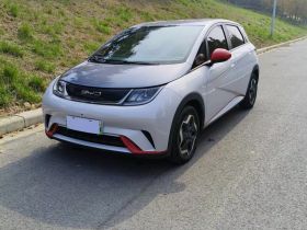 比亚迪 海豚 2021款 405km 自由版