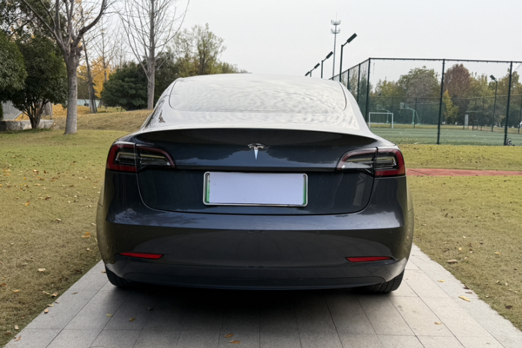 特斯拉 Model 3(进口) 2019款 标准续航后驱升级版(52度)车身外观6005