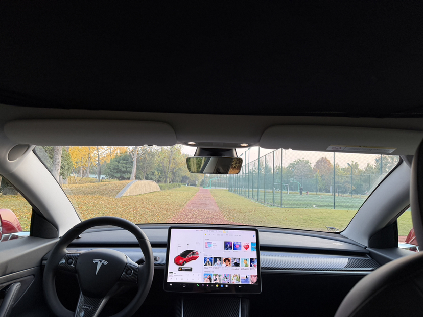 特斯拉 Model 3 2020款 改款 标准续航后驱升级版