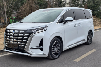 腾势D9 2024款 DM-i 980 四驱尊荣型