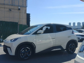 比亚迪 海鸥 2023款 自由版