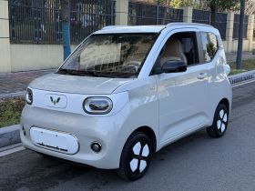 五菱汽车 宏光MINIEV 2024款 第三代 215km 进阶版