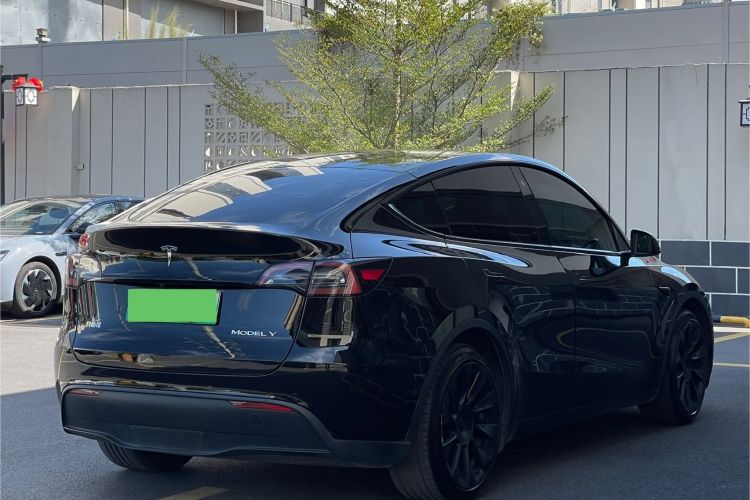 特斯拉 Model Y 2022款 后轮驱动版车身外观6008