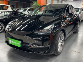 特斯拉 Model Y 2021款 标准续航后驱版