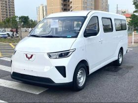 五菱汽车 五菱扬光 2024款 300KM 舒适型客车版 75kW
