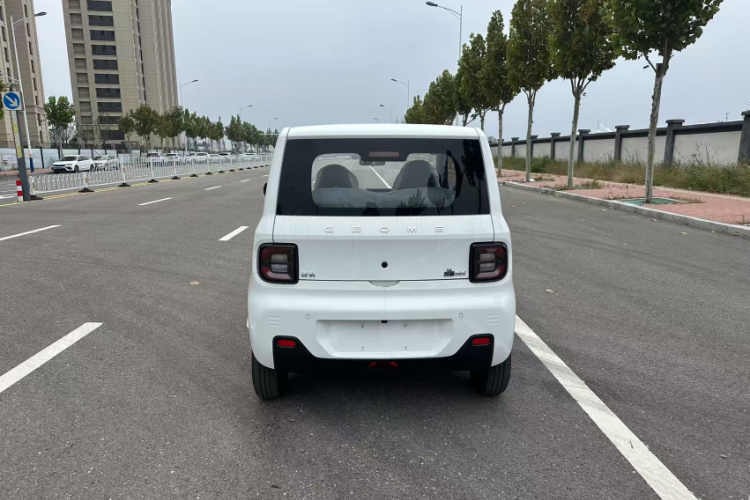 吉利银河 2024款 熊猫mini 200km 耐力熊车身外观6004