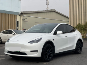特斯拉 Model Y 2023款 长续航全轮驱动版