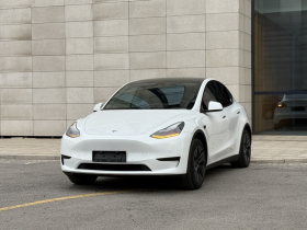 特斯拉 Model Y 2023款 后轮驱动版