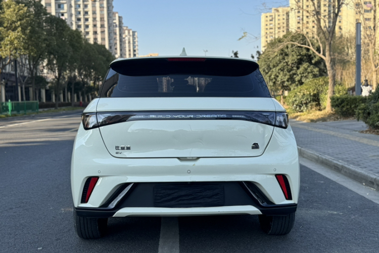 比亚迪 海豚 2021款 405km 时尚版车身外观6002