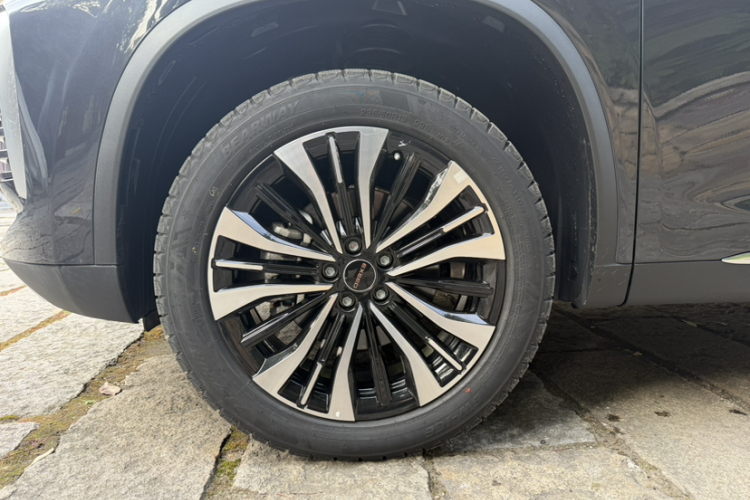 星途凌云 2024款 300T 两驱星耀版车身外观6007