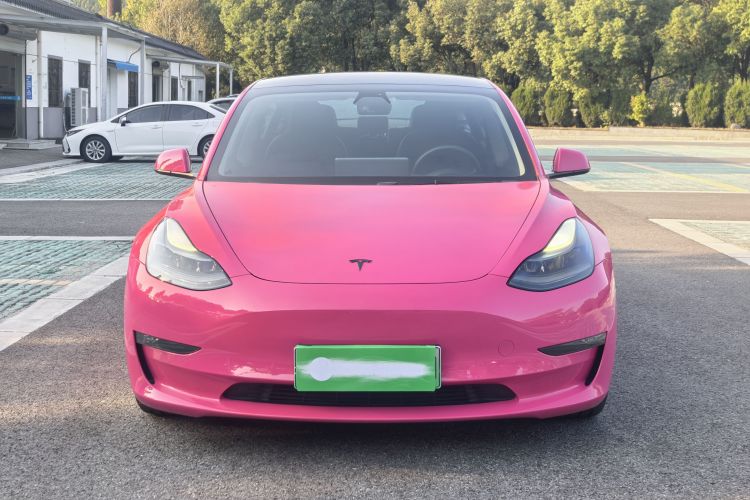 特斯拉 Model 3 2021款 Performance高性能全轮驱动版车身外观6001