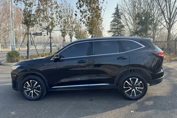 哈弗H6 2021款 第三代 1.5T 自动两驱Max车身外观6003