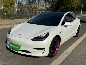 特斯拉 Model 3 2019款 标准续航后驱升级版