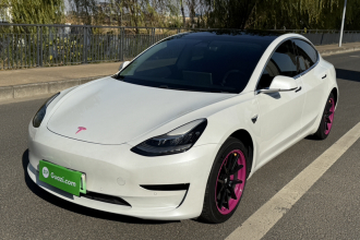 特斯拉 Model 3 2019款 标准续航后驱升级版