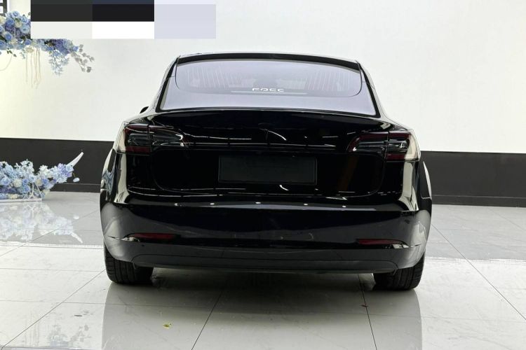 特斯拉 Model 3 2020款 标准续航后驱升级版车身外观6005