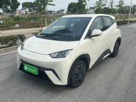 比亚迪 海鸥 2025款 305km 活力版