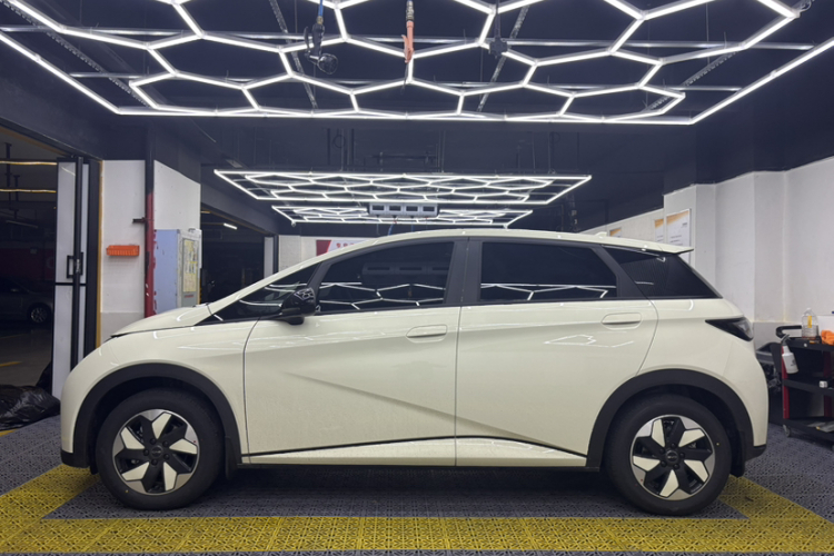 比亚迪 海豚 2025款 420km 自由版车身外观6005