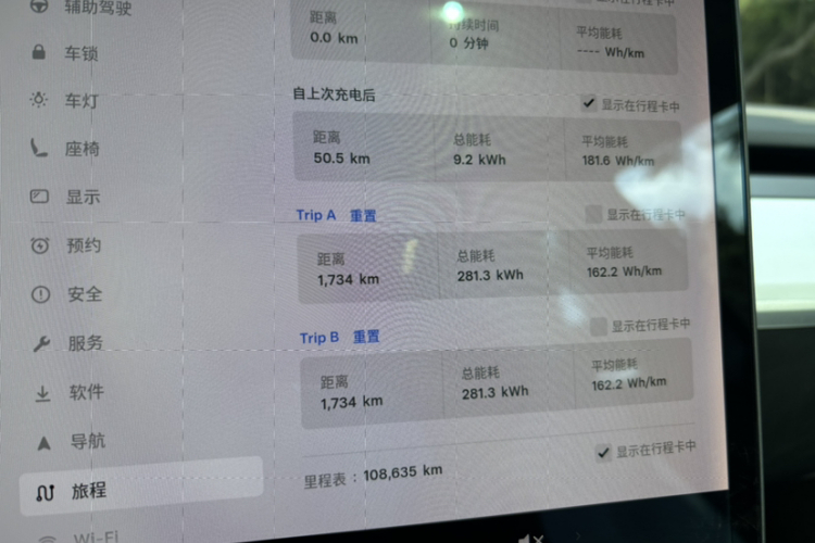 特斯拉 Model 3(进口) 2019款 长续航全轮驱动版中控内饰15