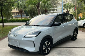 五菱汽车 五菱缤果PLUS 2024款 510km 旗舰版 四座版