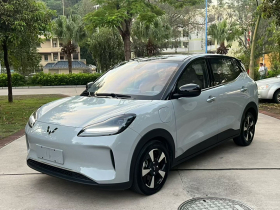 五菱汽车 五菱缤果PLUS 2024款 510km 旗舰版 四座版