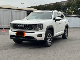 哈弗大狗 PLUS 2023款 2.0T 两驱潮野版Plus