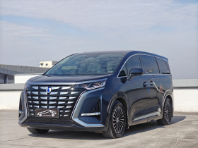 腾势D9 2024款 DM-i 980 四驱旗舰型