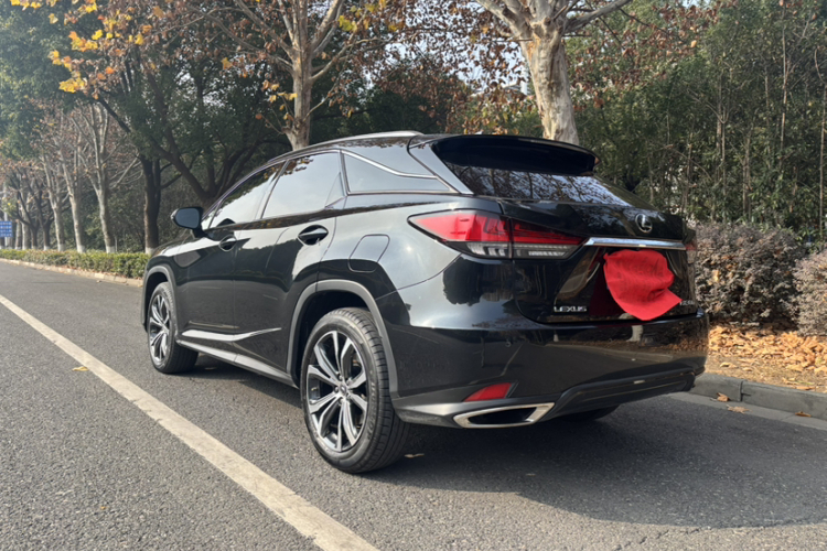 雷克萨斯RX 2021款 300 四驱特别版车身外观6005