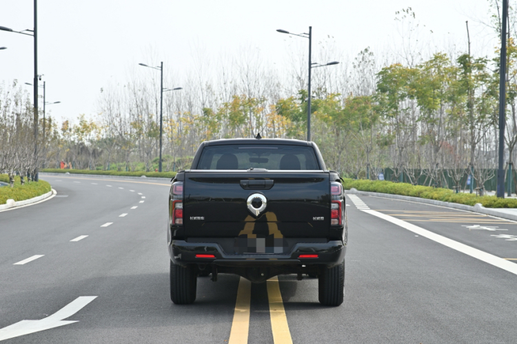 长城 炮 2023款 2.0T商用版自动柴油两驱精英型长箱GW4D20M车身外观6010