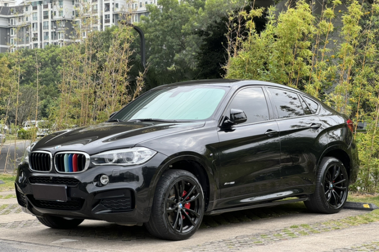 宝马X6 2019款 xDrive35i M运动套装车身外观6008