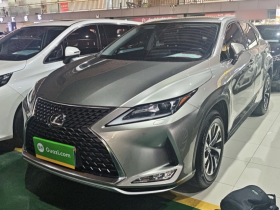 雷克萨斯RX 2020款 改款 300 两驱舒适版