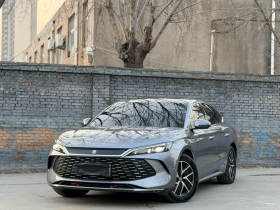 比亚迪 秦L 2024款 DM-i 120KM领先型