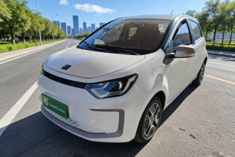 思皓 2022款 花仙子款 四叶草