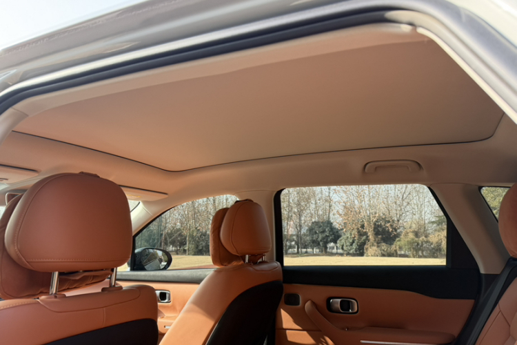 零跑汽车 零跑C10 2024款 530智享版中控内饰7010