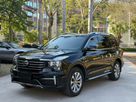 广汽传祺 传祺GS8 2020款 390T 两驱豪华智联纪念版（七座）