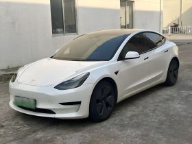 特斯拉 Model 3 2021款 标准续航后驱升级版