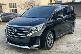 广汽传祺 传祺M8 2020款 领航款 390T 尊贵版