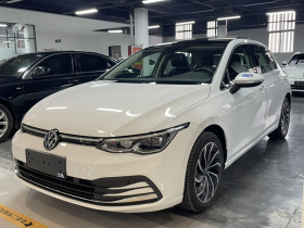 大众 高尔夫 2023款 改款 280TSI DSG Pro