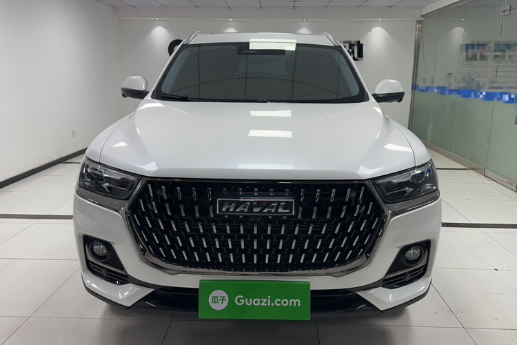 哈弗H6 2023款 国潮版 1.5T 自动冠军版车身外观6003