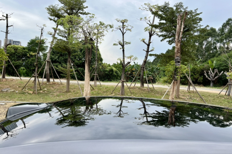 理想汽车 理想L6 2024款 Pro局部细节9004